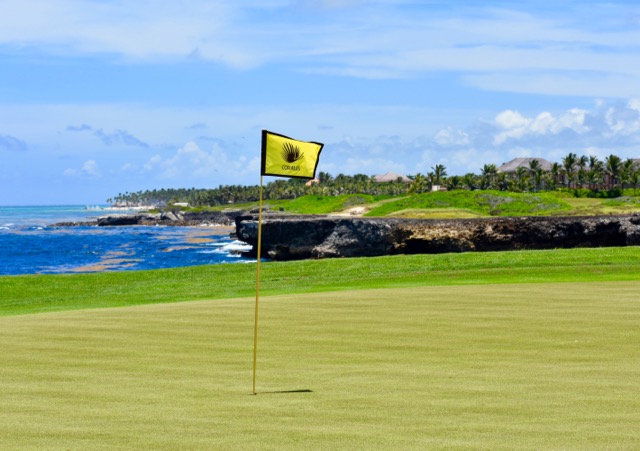 Corales #18 from behind