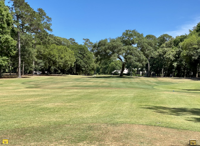 Pawleys9 yellow tees