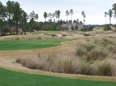 northhamptonscruffsand.jpg northhamptonscruffsand.jpg