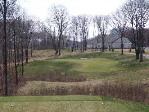 oxfordgreensdoglegleft.jpg oxfordgreensdoglegleft.jpg