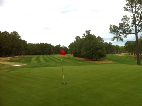 PineNeedlesWideHole1