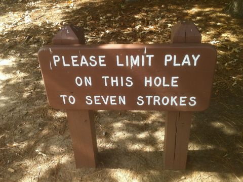 HickoryKnobLimit7strokes